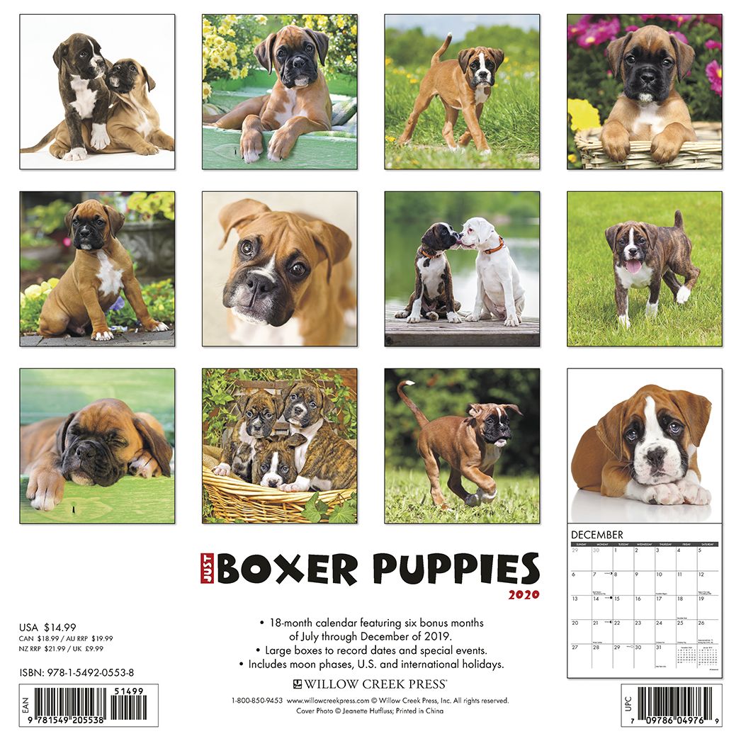 Just Boxer Puppies 2020 Wall Calendar (Dog Breed Calendar)
