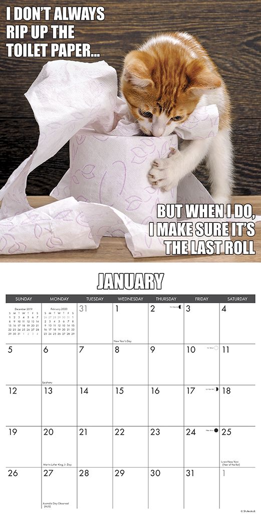 Cat-Astrophe 2020 Wall Calendar