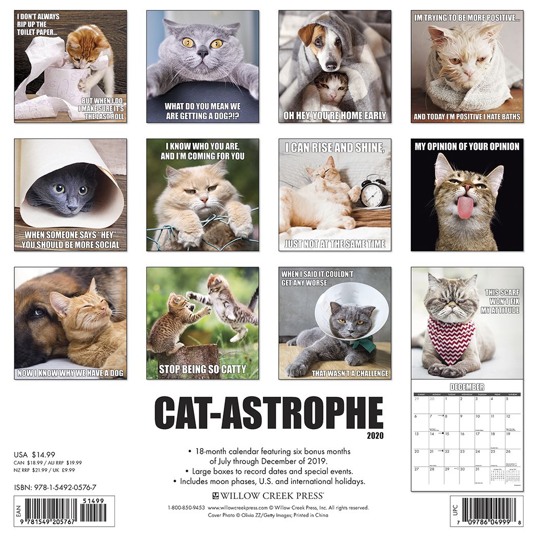 Cat-Astrophe 2020 Wall Calendar