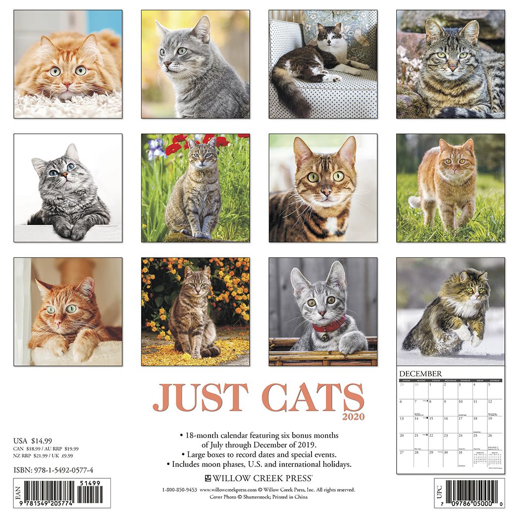 Just Cats 2020 Wall Calendar