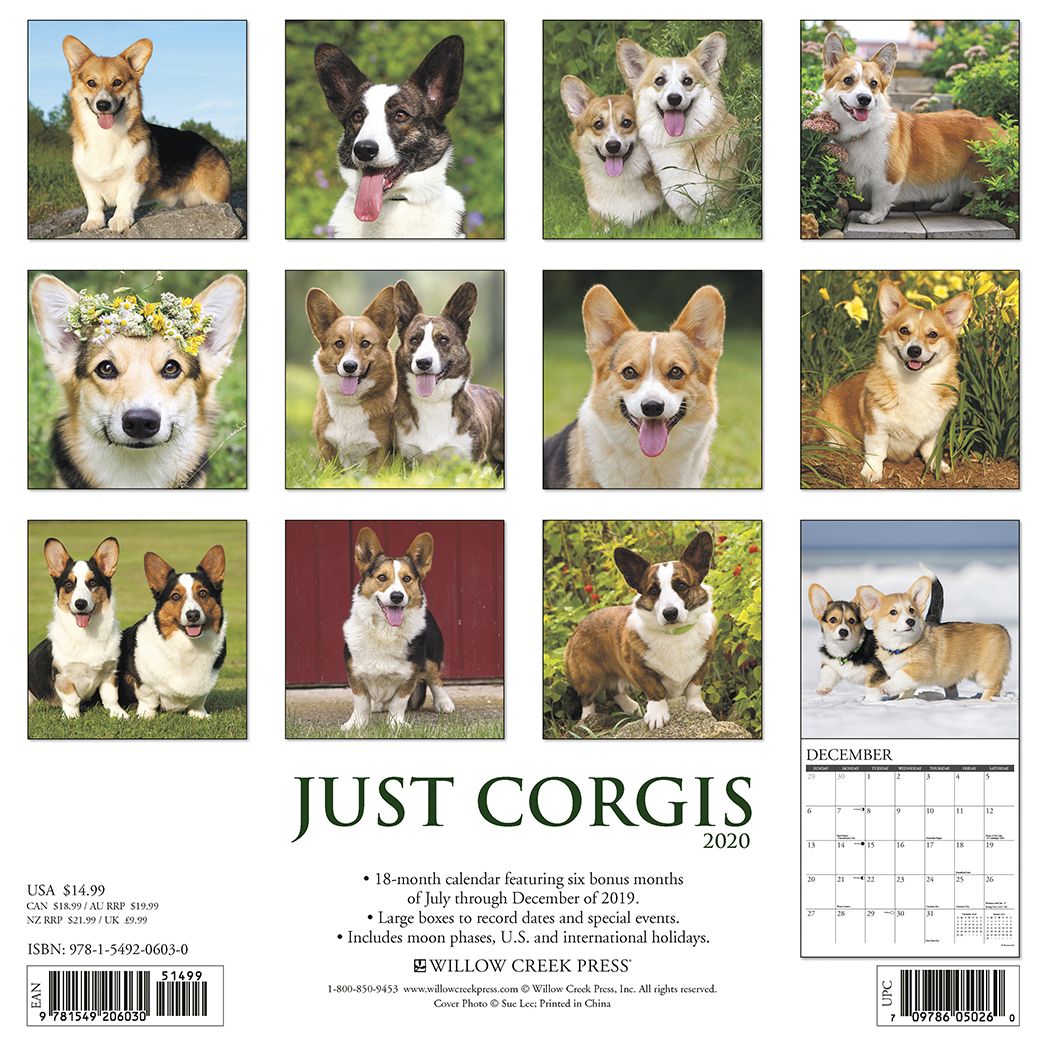 Just Corgis 2020 Wall Calendar (Dog Breed Calendar)
