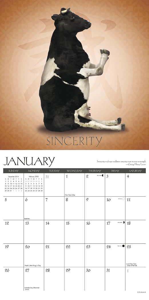 Cow Yoga 2020 Wall Calendar