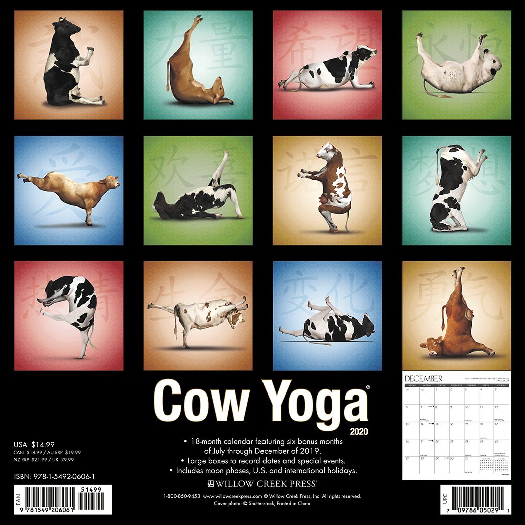 Cow Yoga 2020 Wall Calendar