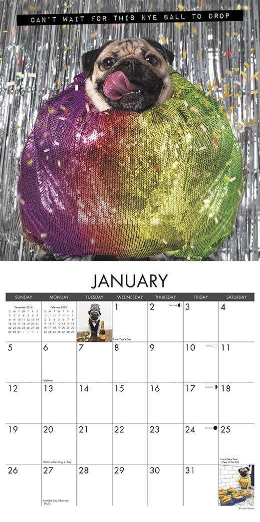 Doug the Pug 2020 Wall Calendar (Dog Breed Calendar)
