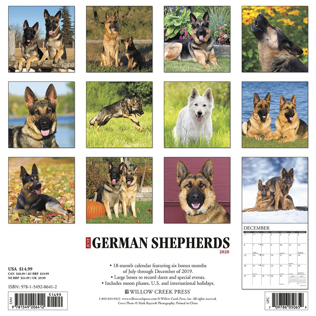 Just German Shepherds 2020 Wall Calendar (Dog Breed Calendar)