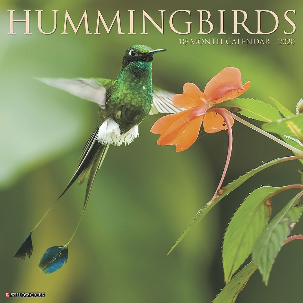 Hummingbirds 2020 Wall Calendar