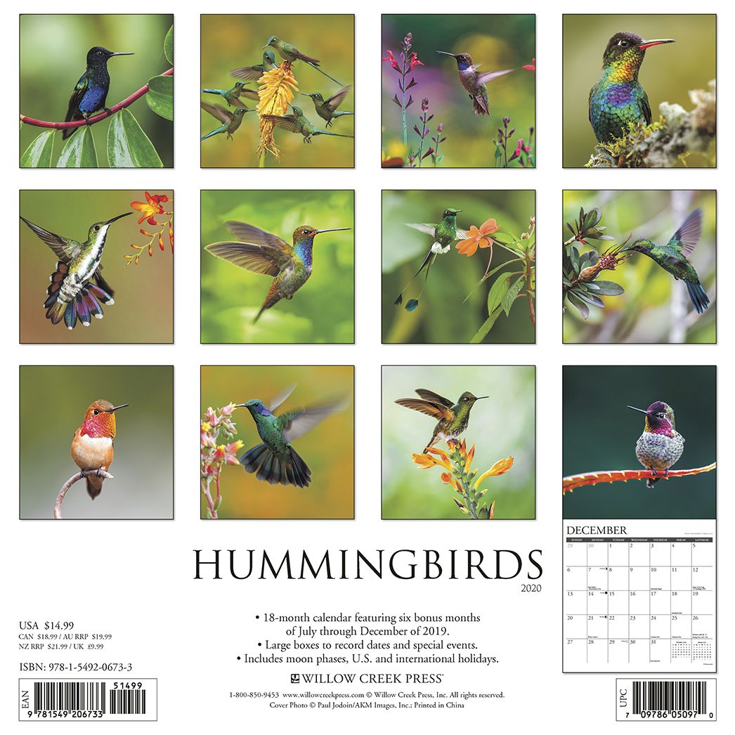Hummingbirds 2020 Wall Calendar