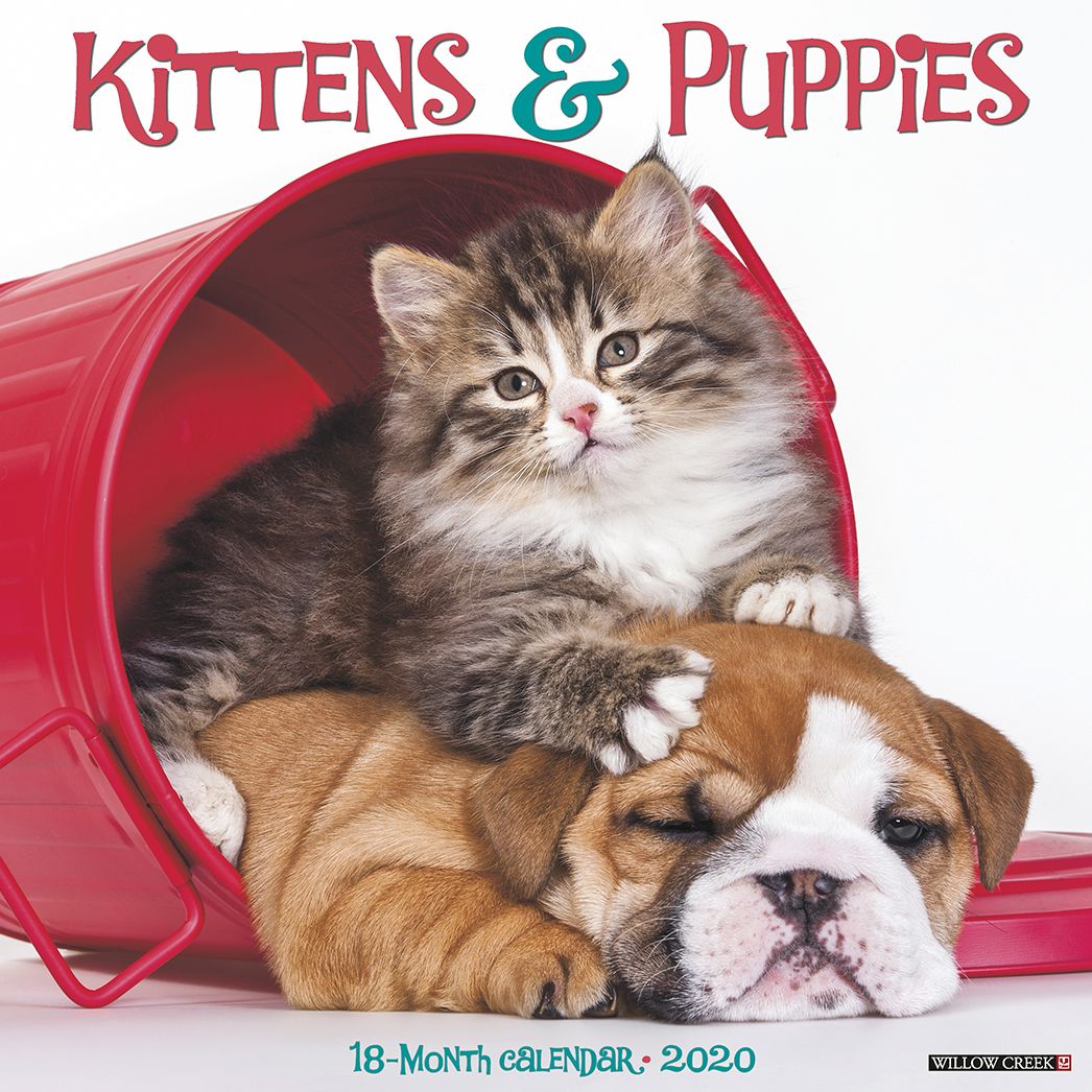 Kittens & Puppies 2020 Wall Calendar