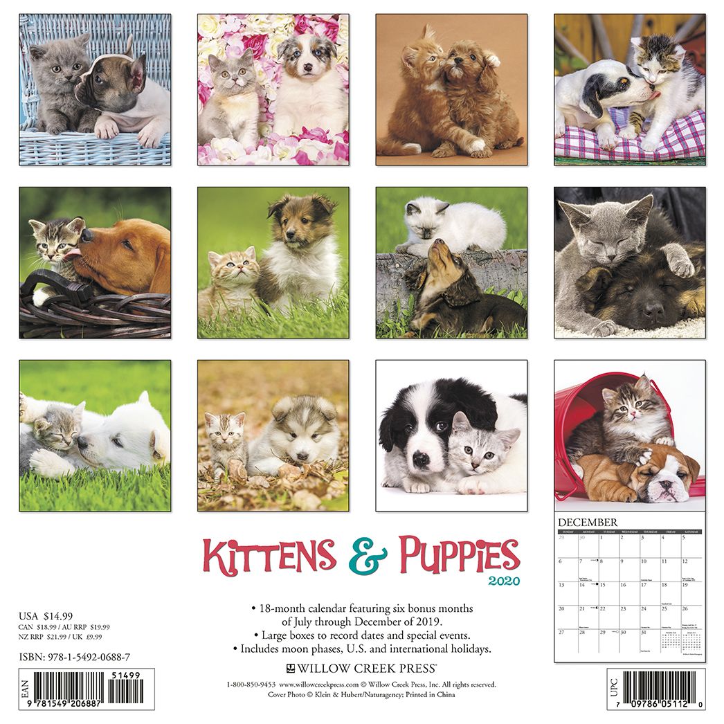 Kittens & Puppies 2020 Wall Calendar