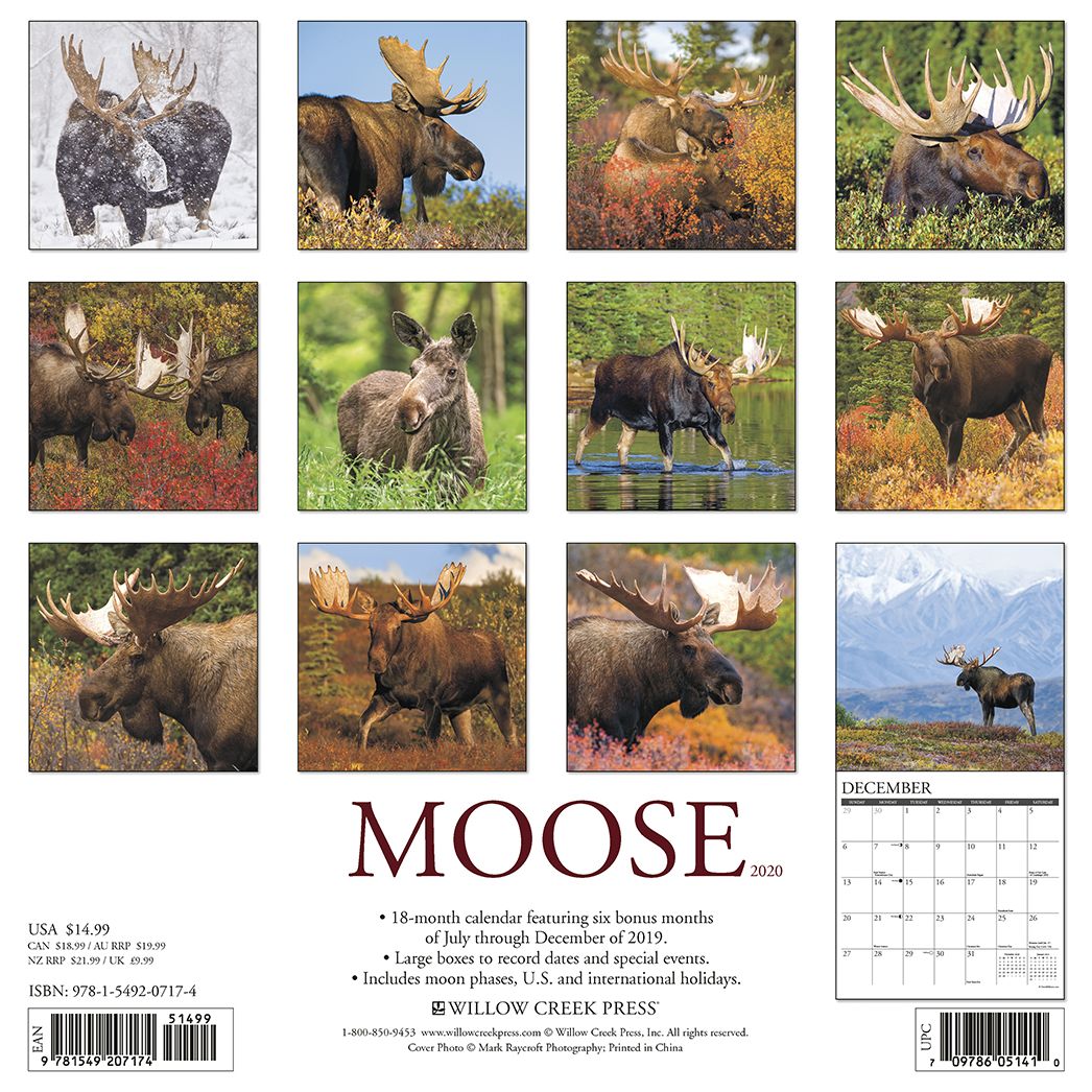 Moose 2020 Wall Calendar