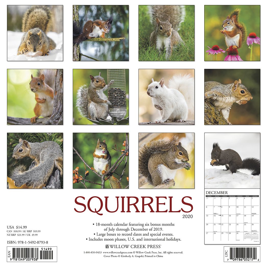 Squirrels 2020 Wall Calendar
