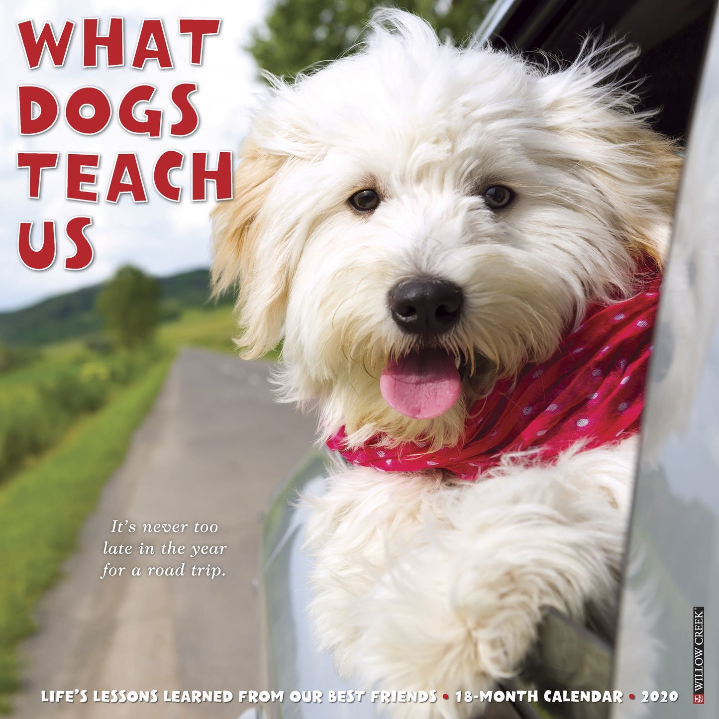 What Dogs Teach Us 2020 Wall Calendar