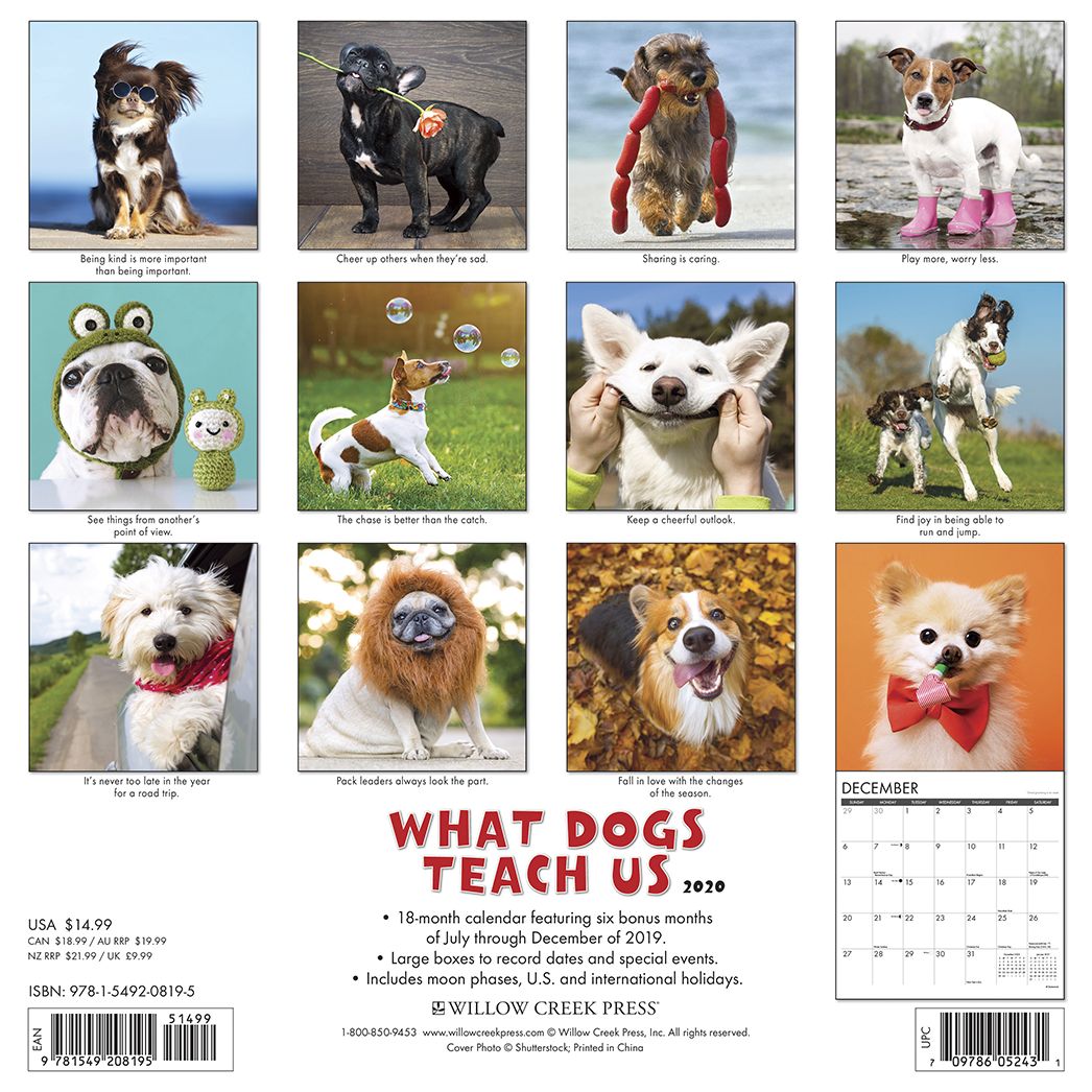 What Dogs Teach Us 2020 Wall Calendar