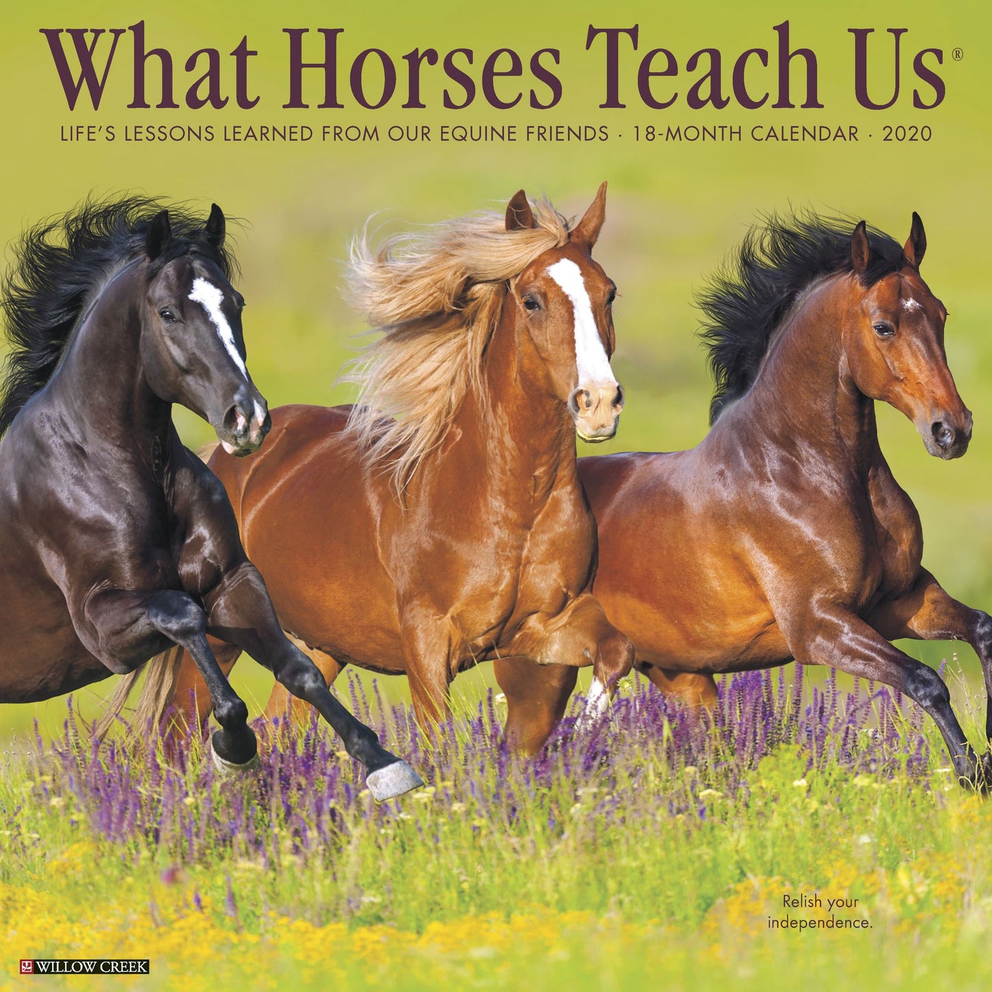 What Horses Teach Us 2020 Wall Calendar