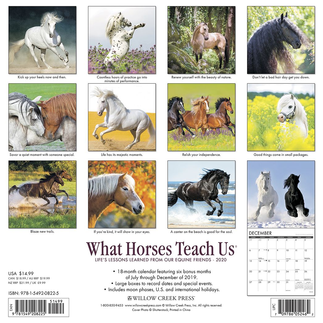 What Horses Teach Us 2020 Wall Calendar