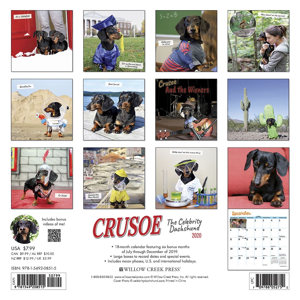 Crusoe the Celebrity Dachshund 2020 Mini Wall Calendar (Dog Breed Calendar)