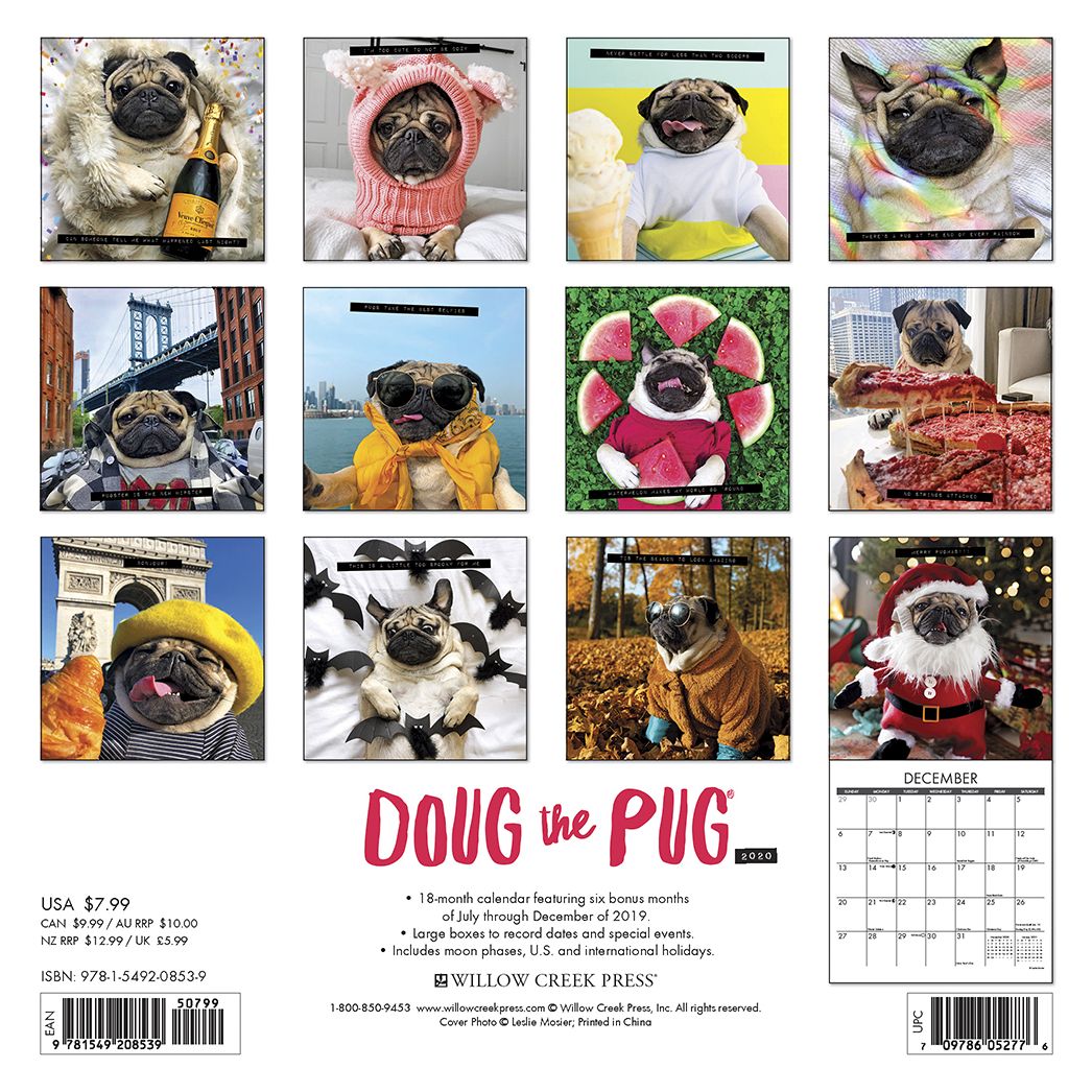 Doug the Pug 2020 Mini Wall Calendar (Dog Breed Calendar)