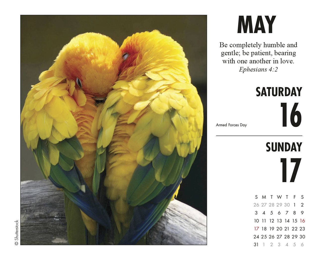 Bible Verses 2020 Box Calendar