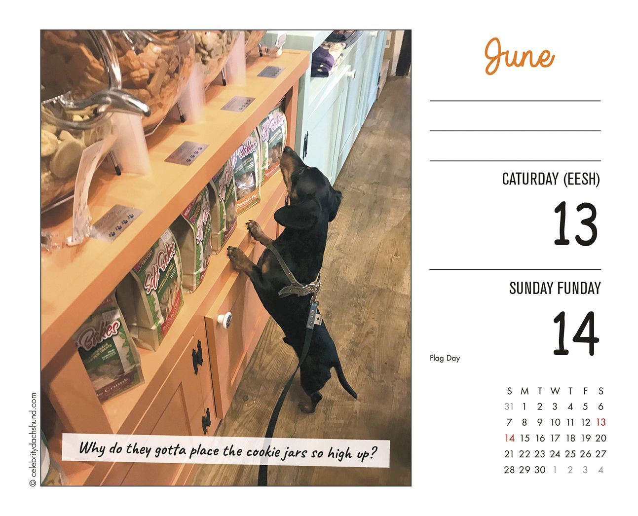 Crusoe the Celebrity Dachshund 2020 Box Calendar (Dog Breed Calendar)