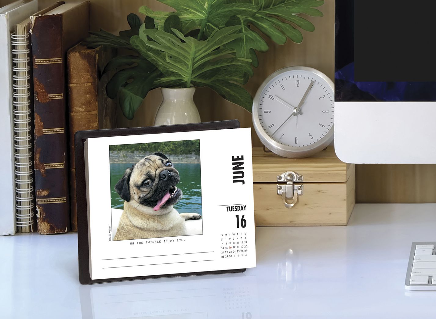 Doug the Pug 2020 Box Calendar (Dog Breed Calendar)