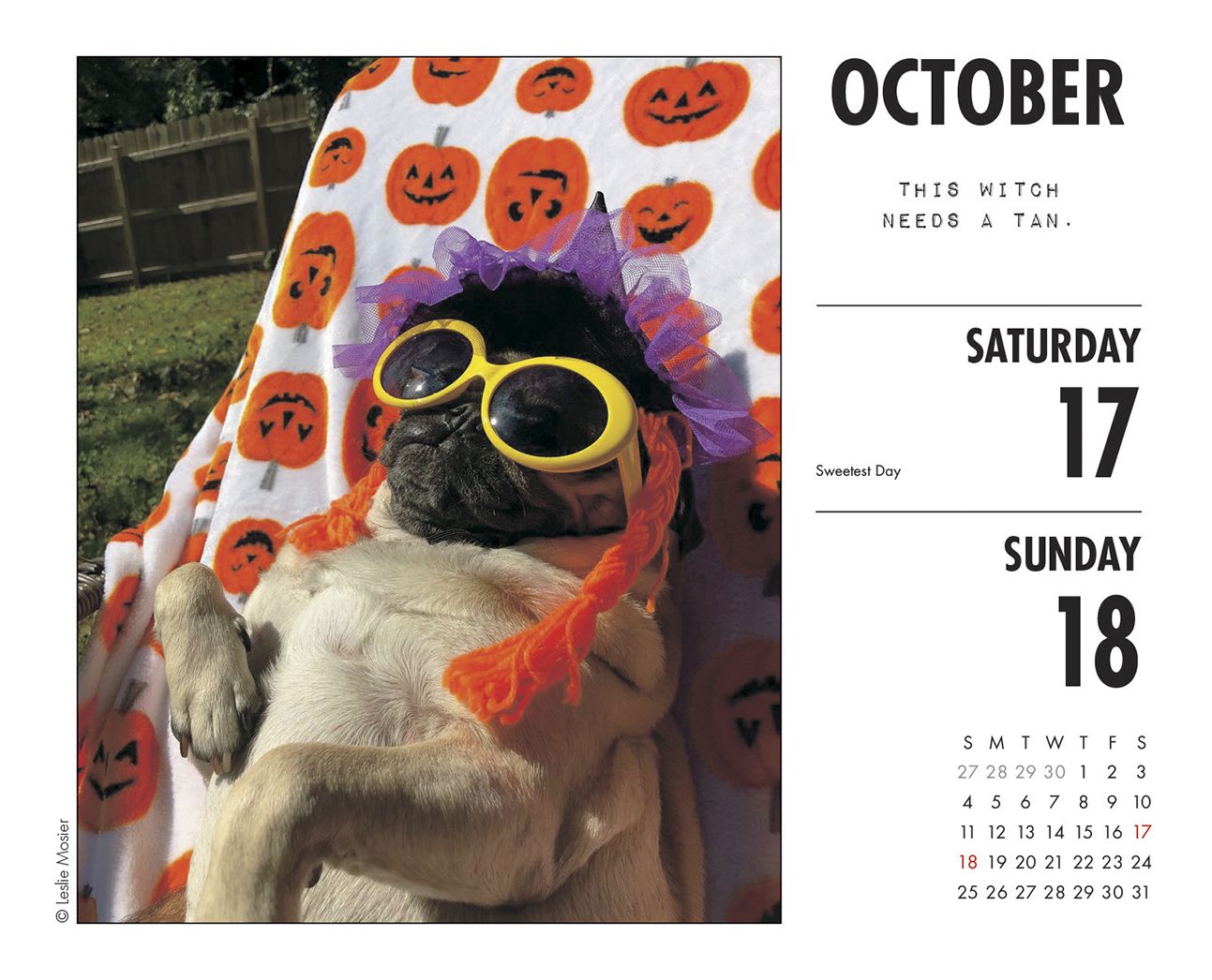 Doug the Pug 2020 Box Calendar (Dog Breed Calendar)