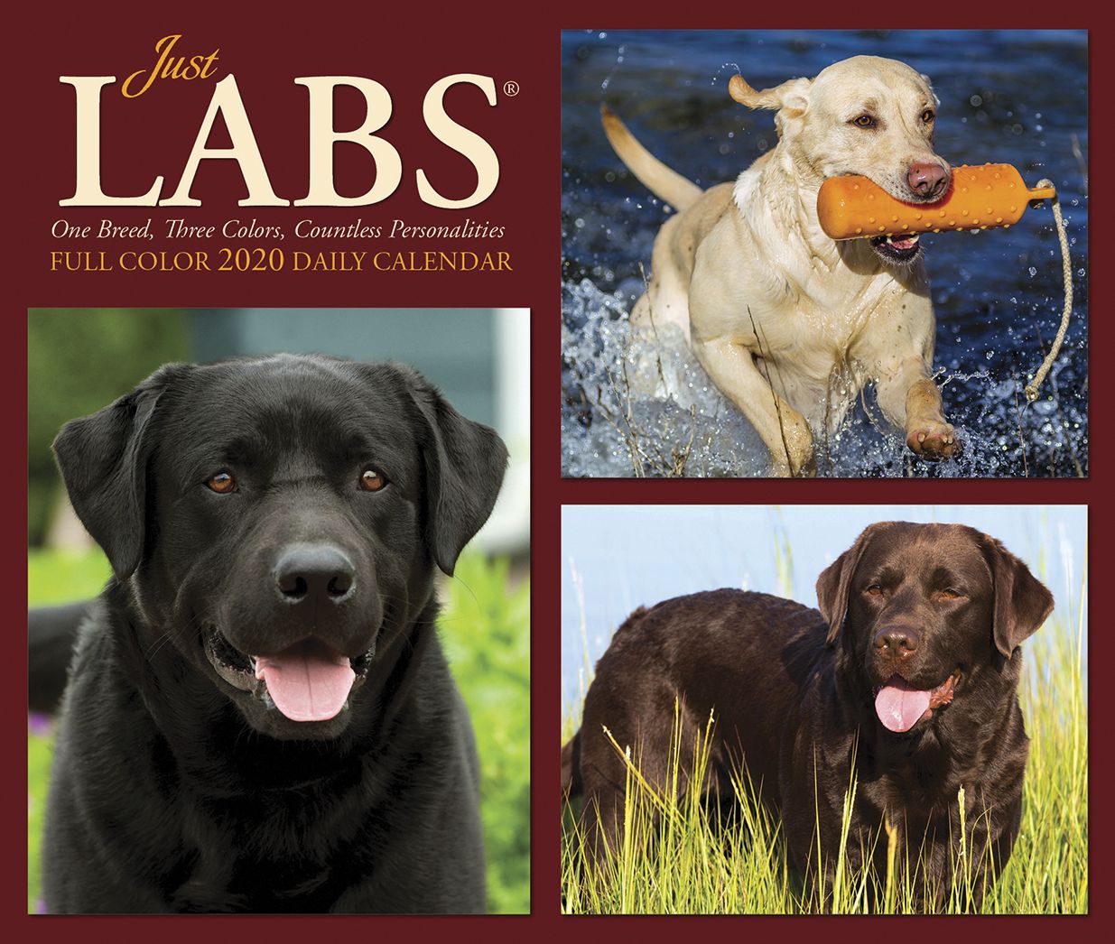 Just Labs 2020 Box Calendar (Dog Breed Calendar)