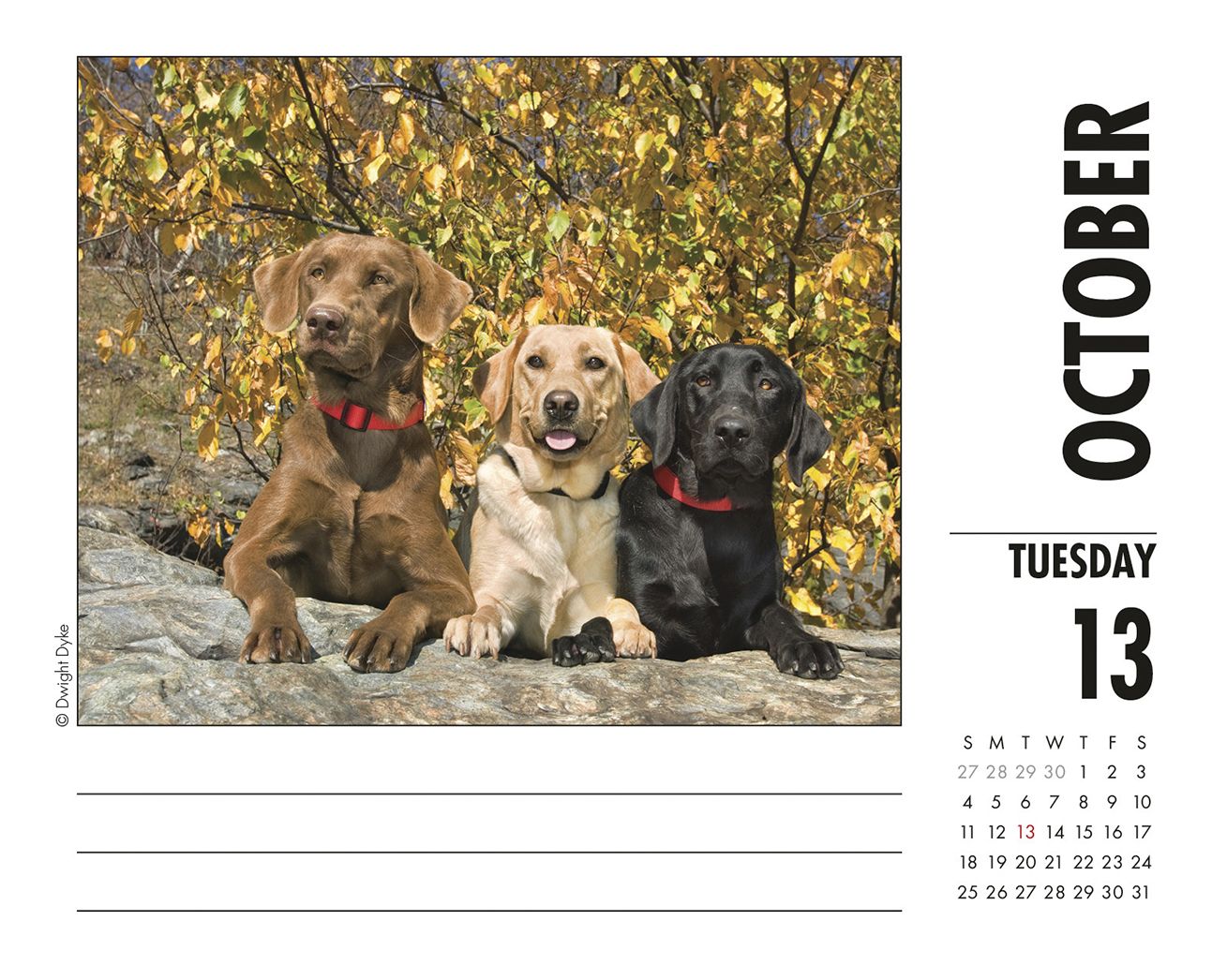 Just Labs 2020 Box Calendar (Dog Breed Calendar)