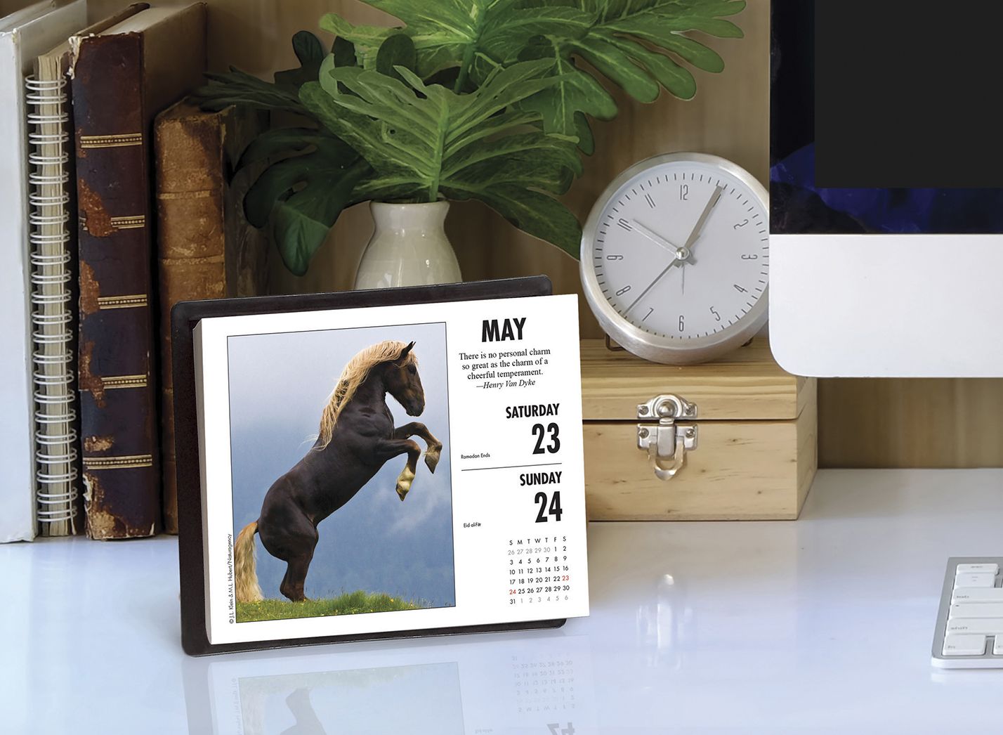 What Horses Teach Us 2020 Box Calendar