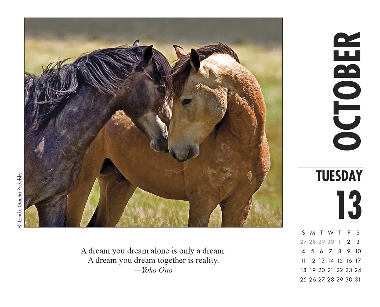 What Horses Teach Us 2020 Box Calendar
