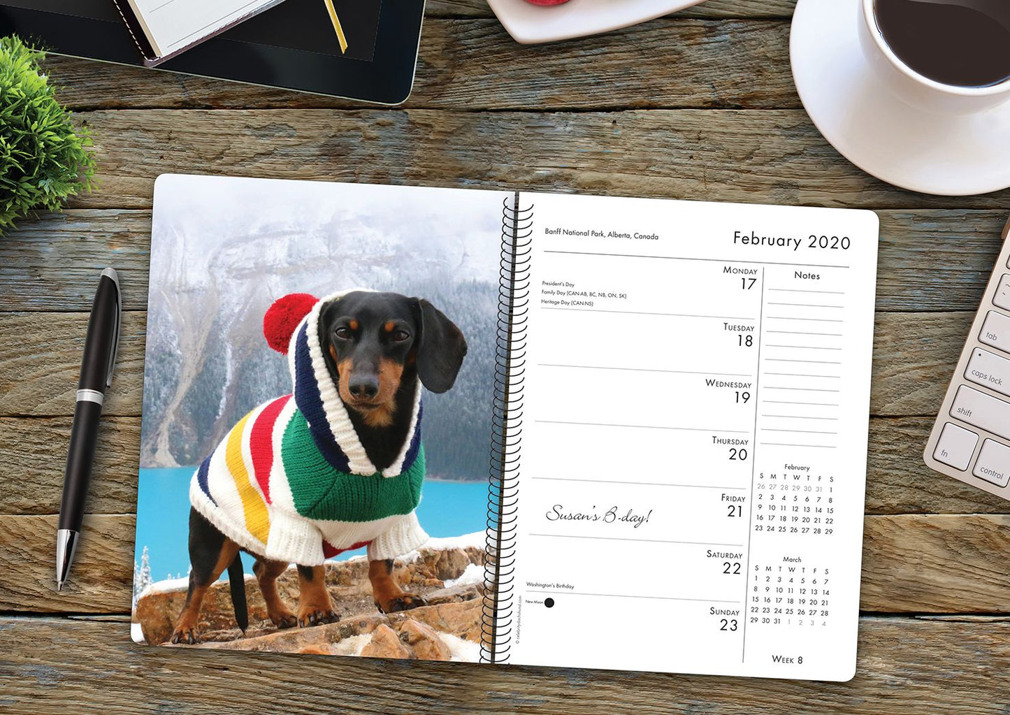 Crusoe the Celebrity Dachshund 2020 Engagement Calendar (Dog Breed Calendar)