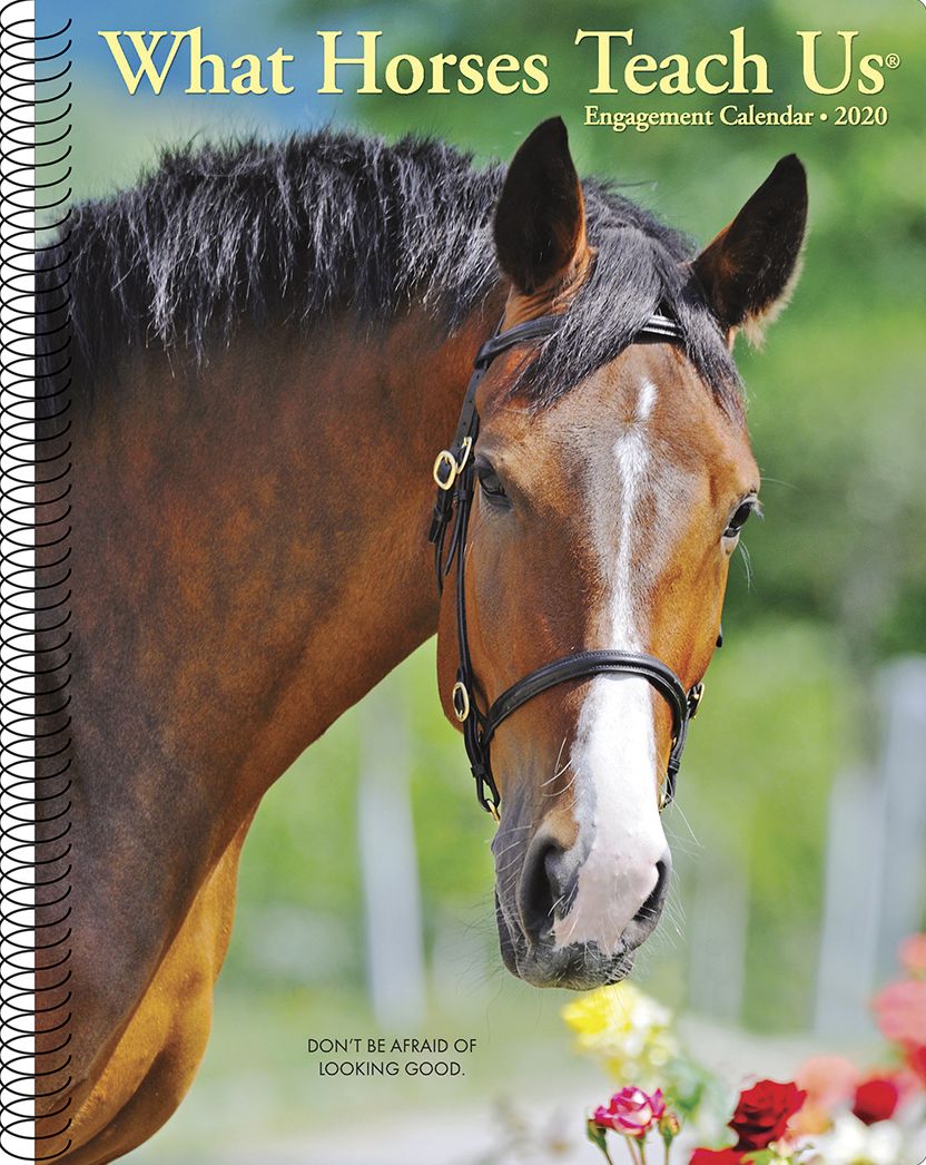 What Horses Teach Us 2020 Engagement Calendar