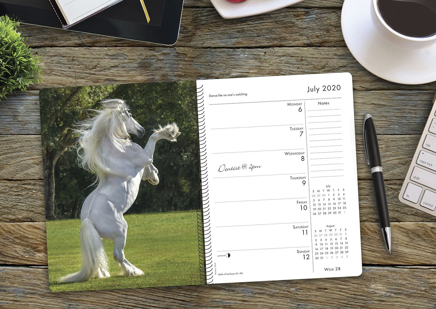 What Horses Teach Us 2020 Engagement Calendar