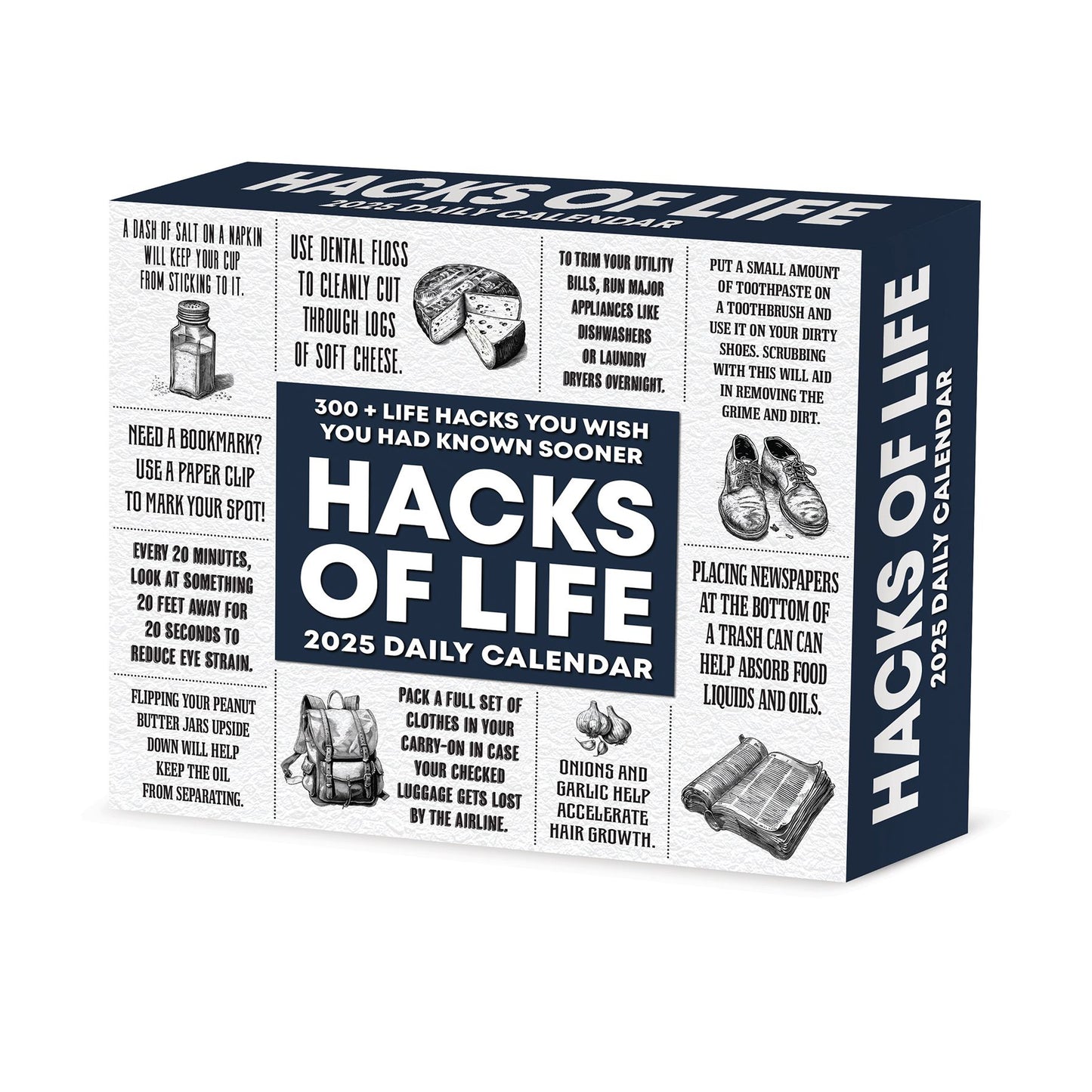 Hacks of Life 2025 6.2 X 5.4 Box Calendar