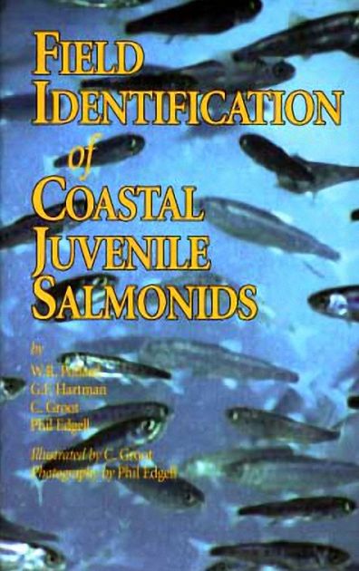 Field Identification of Coastal Juvenile Salmonids