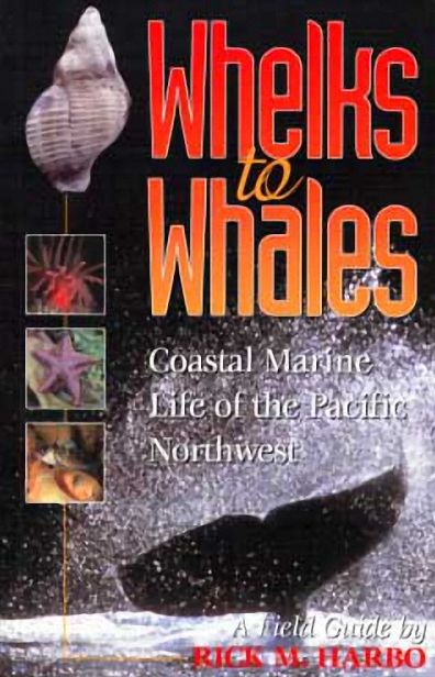 Whelks to Whales: Coastal Marine Life of the Pacific Northwest