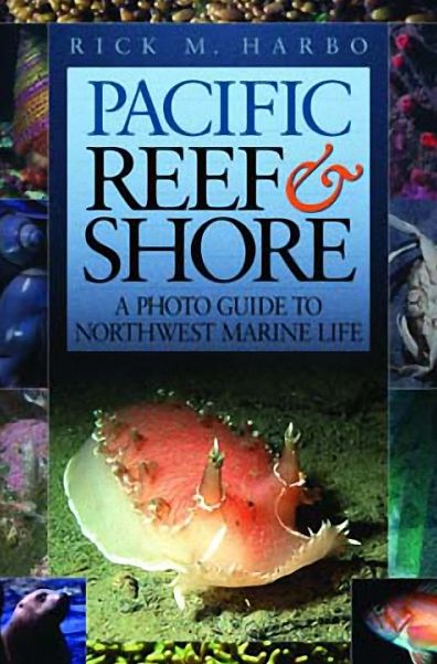 Pacific Reef and Shore: A Photo Guide to Northwest Marine Life