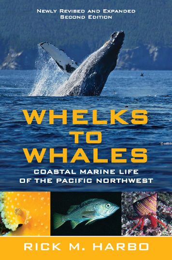 Whelks to Whales, Revised Second Edition: Coastal Marine Life of the Pacific Northwest