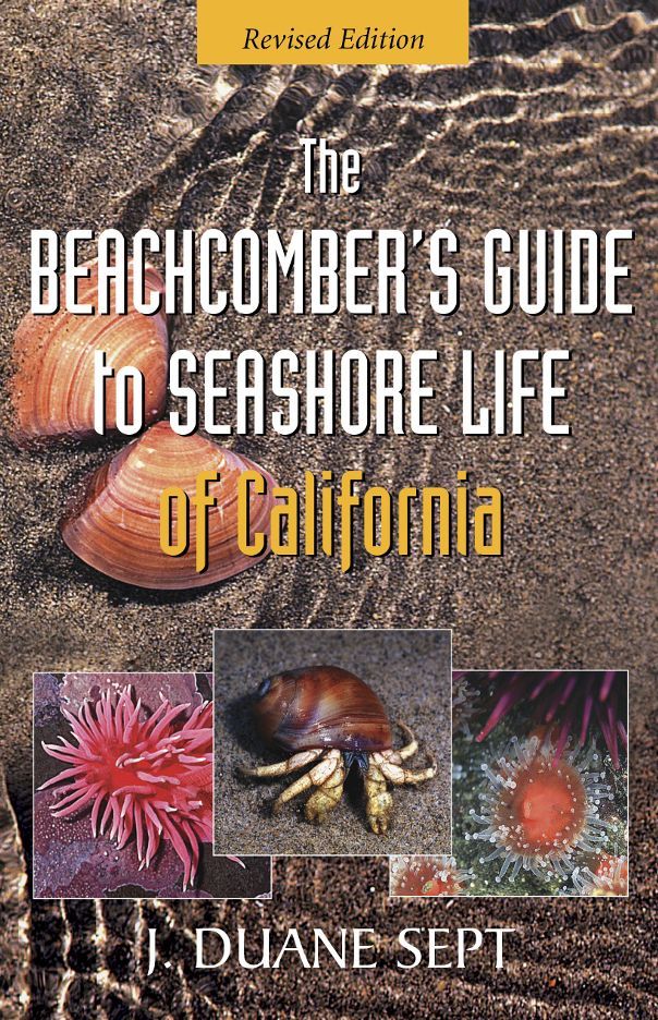 The Beachcomber's Guide to Seashore Life of California REVISED