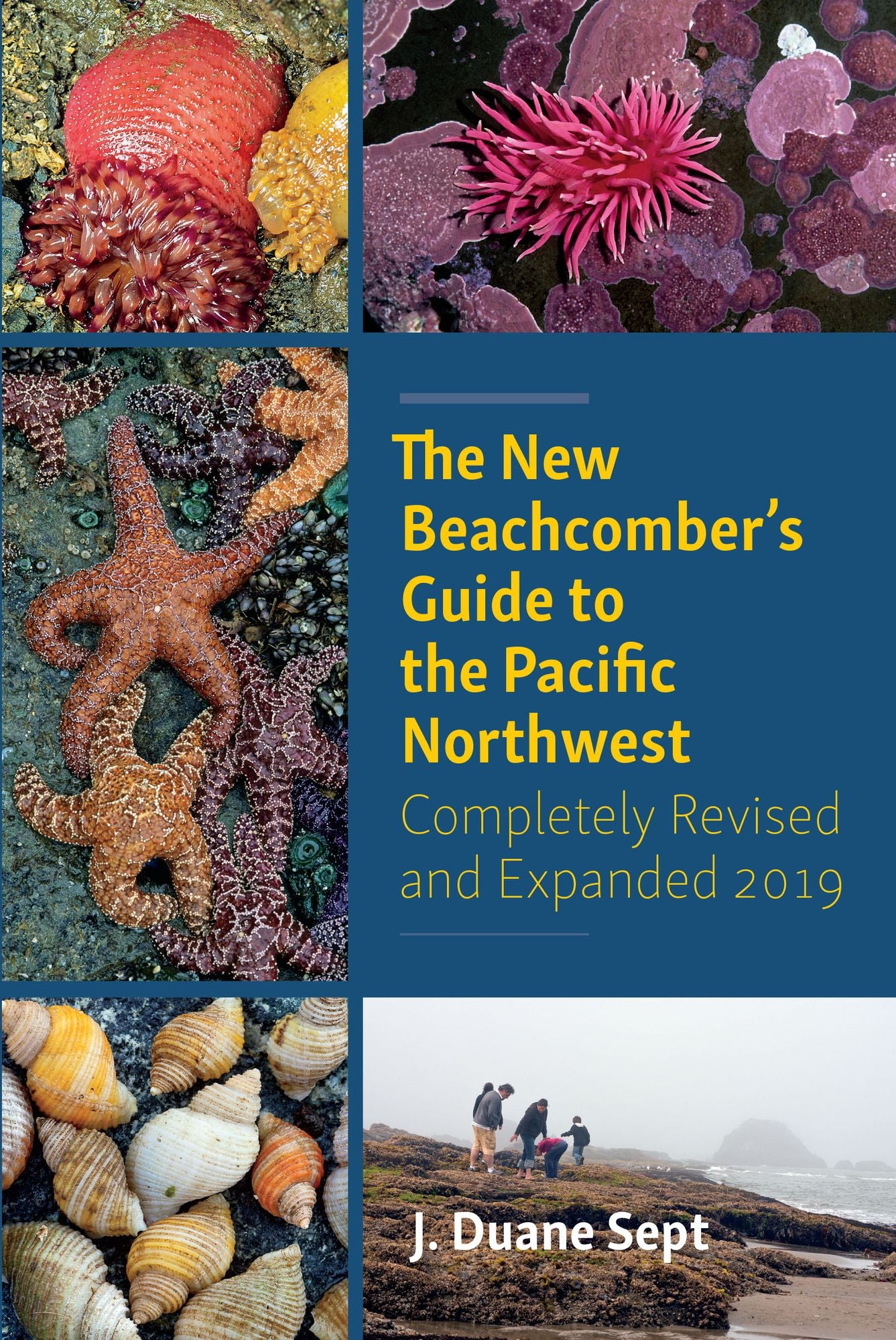 The Beachcomber's Guide to Seashore Life in the Pacific Northwest: Third Edition