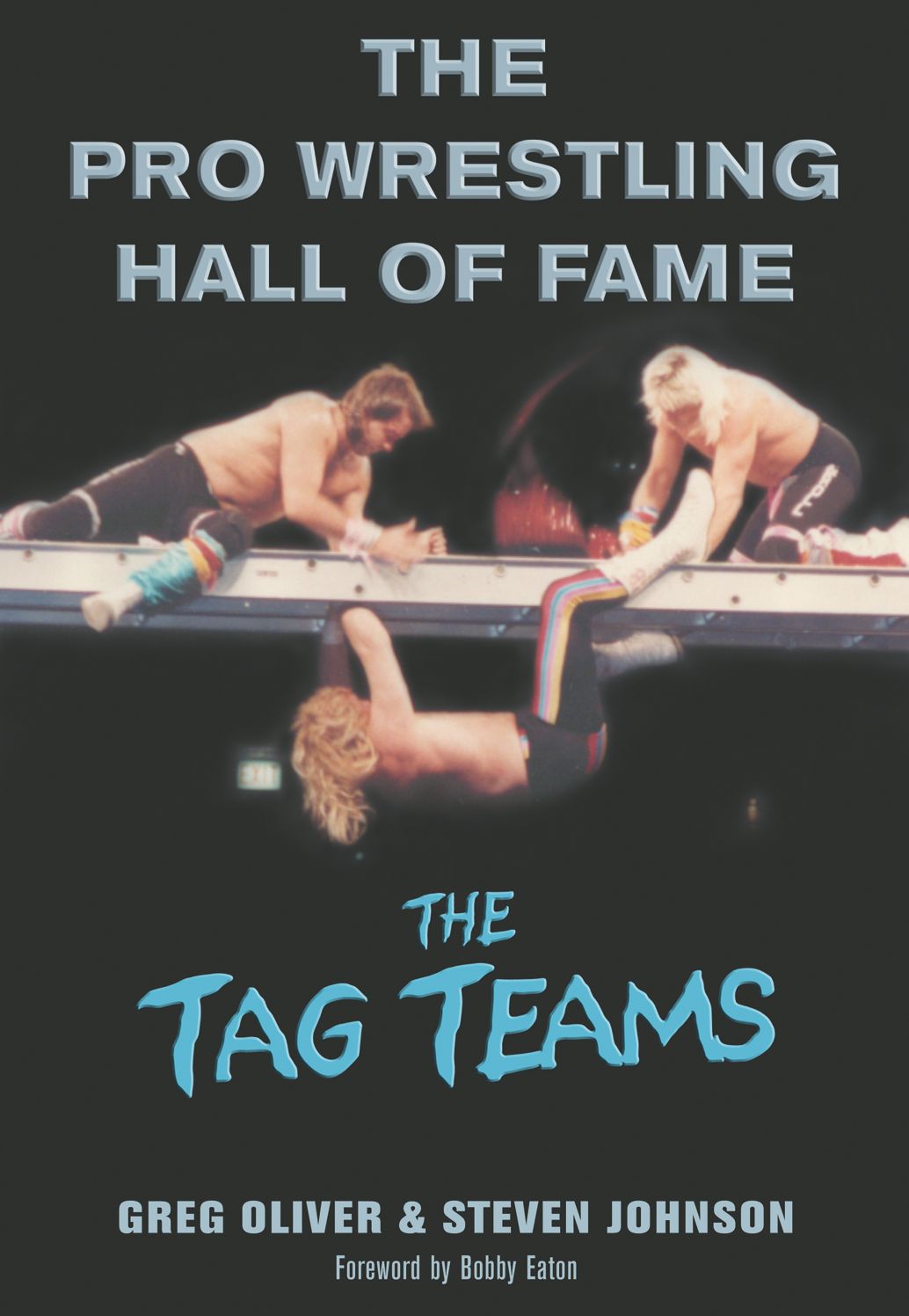 Pro Wrestling Hall of Fame: The Tag Teams