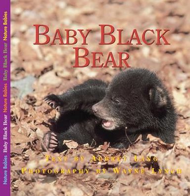 Baby Bear