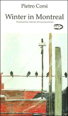 Winter in Montreal (Picas Series)