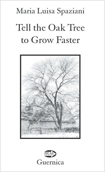 Tell the Oak Tree to Grow Faster: Selected Aphorisms