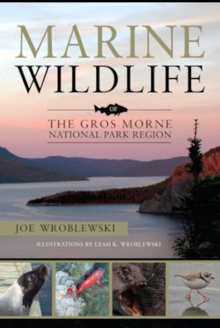 Marine Wildlife of Bonne