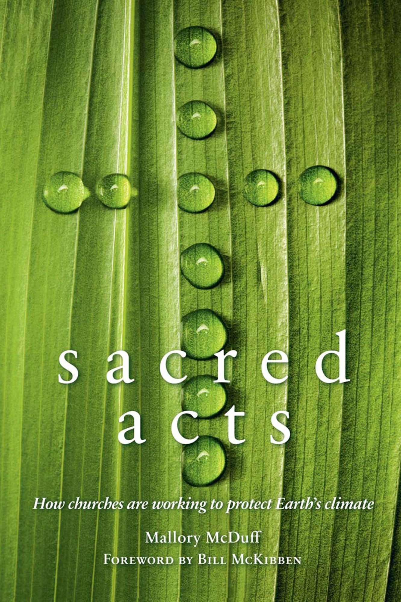 Sacred Acts: How Churches Are Working to Protect Earth's Climate