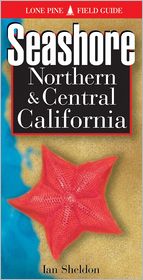 Seashore of Northern and Central California