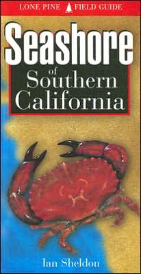Seashore of Southern California
