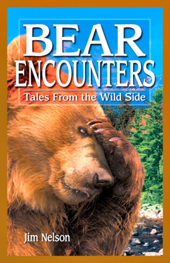 Bear Encounters: Tales from the Wild