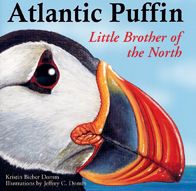 Atlantic Puffin - Little Brother of the North