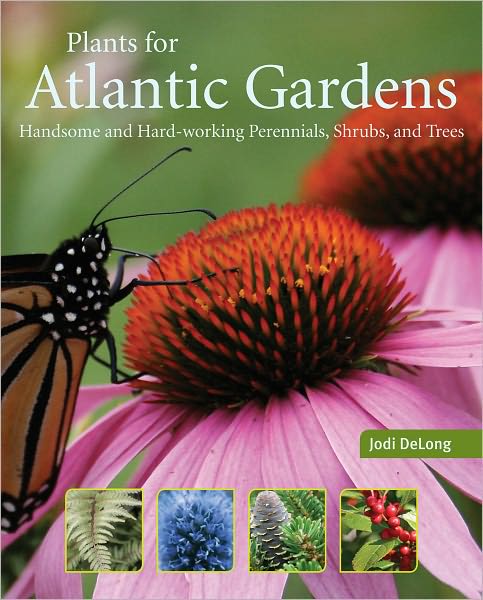 Plants for Atlantic Gardens: Handsome and Hard-working Perennials, Shurbs and Trees